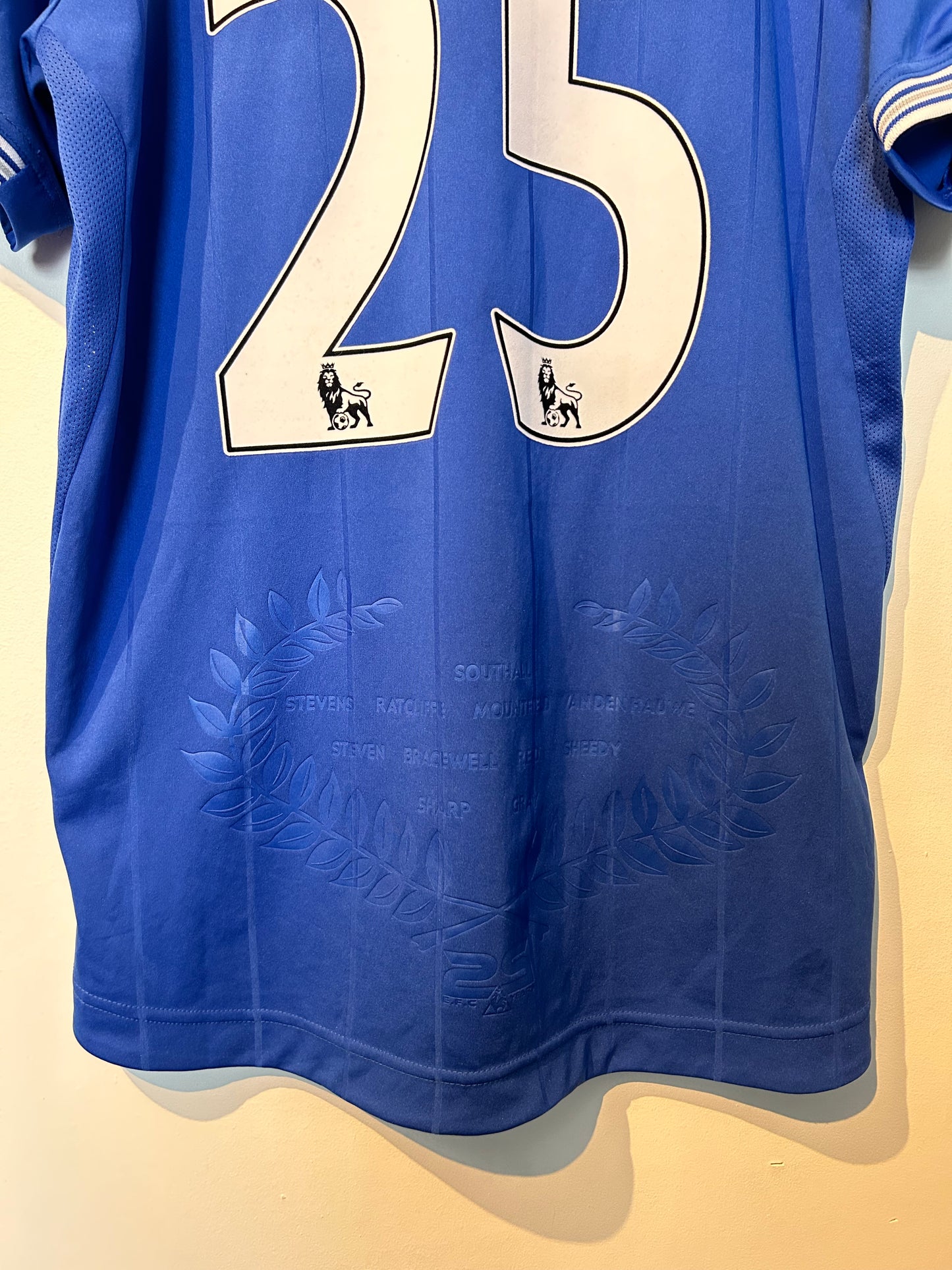 Everton 2009-10 Home Shirt - Fellaini #25 - M