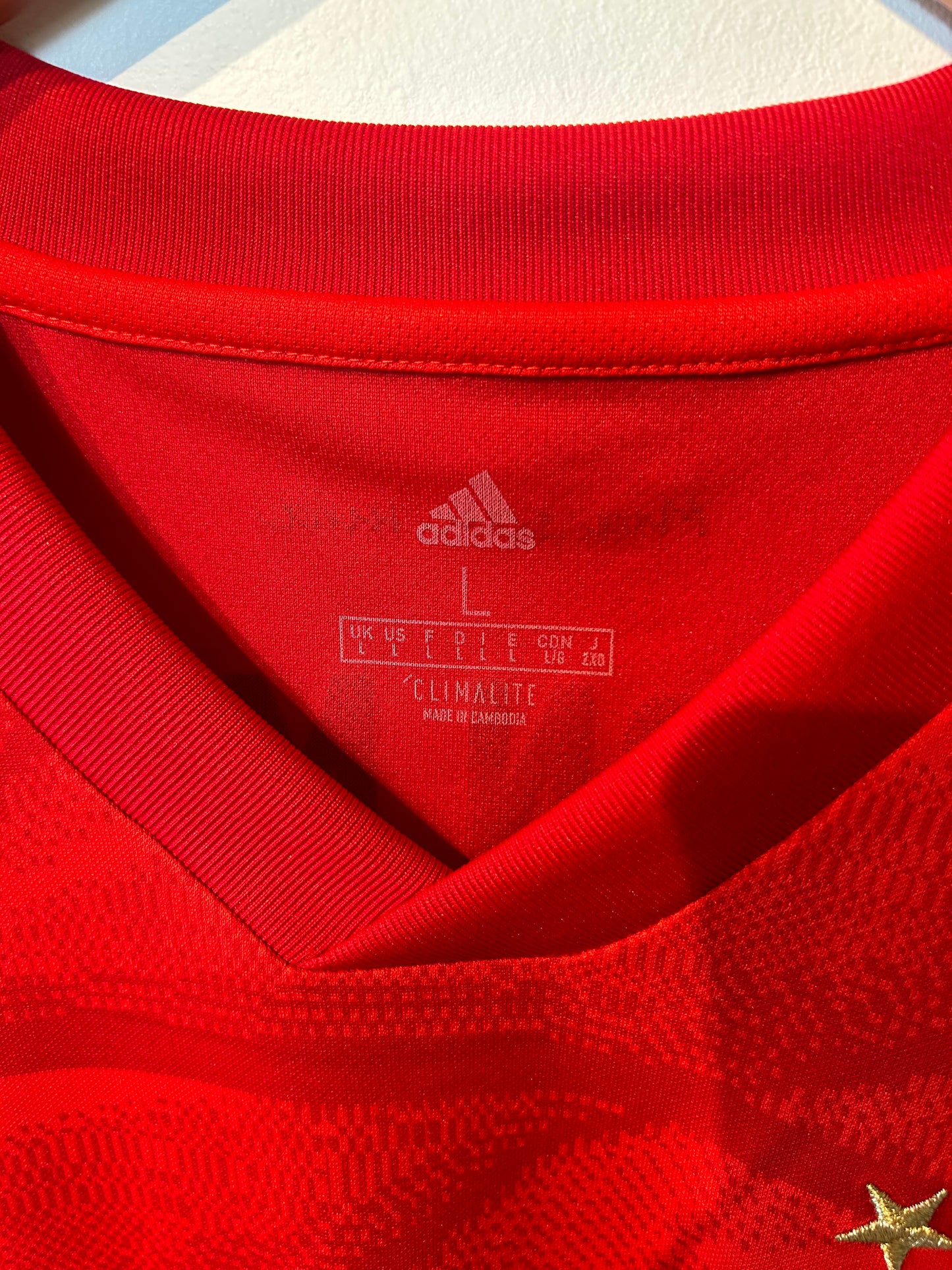 Bayern Munich 2019-20 Home Shirt, Alphonso Davies #19 - L